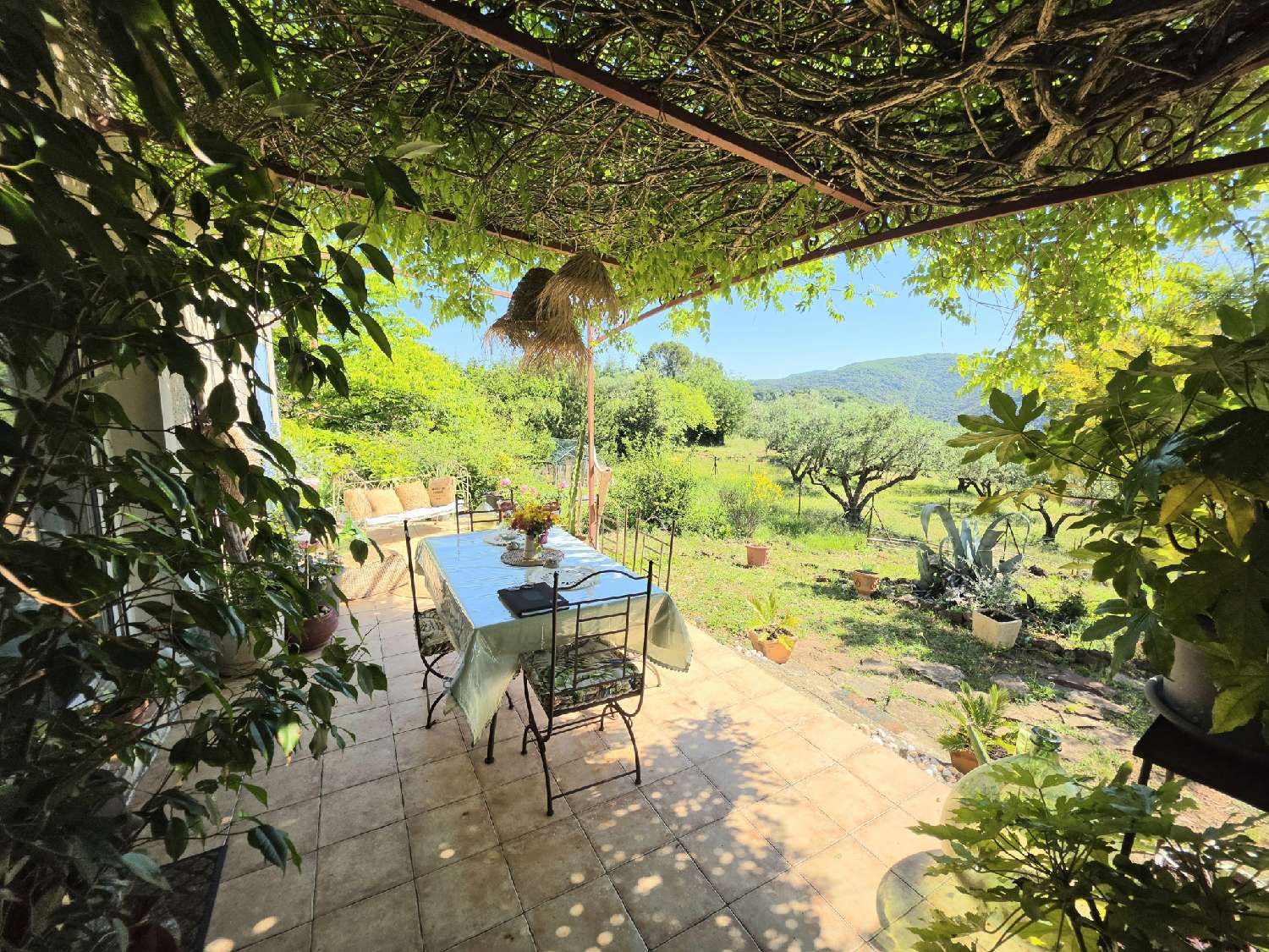  à vendre villa Olmet-et-Villecun Hérault 7