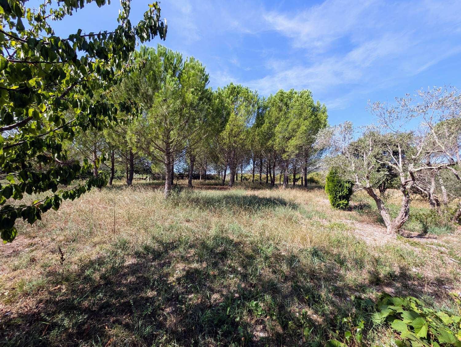 kaufen Villa Pompignan Gard 7