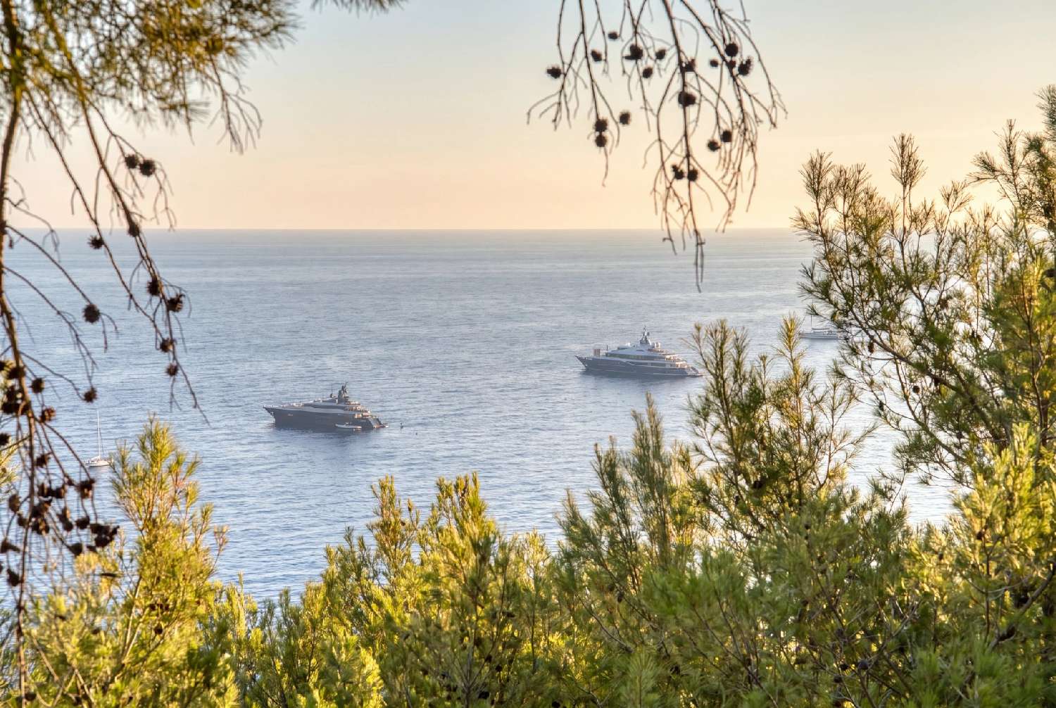 en venta villa Roquebrune-Cap-Martin Alpes-Maritimes 4