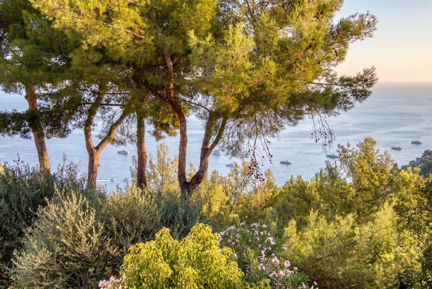 en venta villa Roquebrune-Cap-Martin Alpes-Maritimes 8
