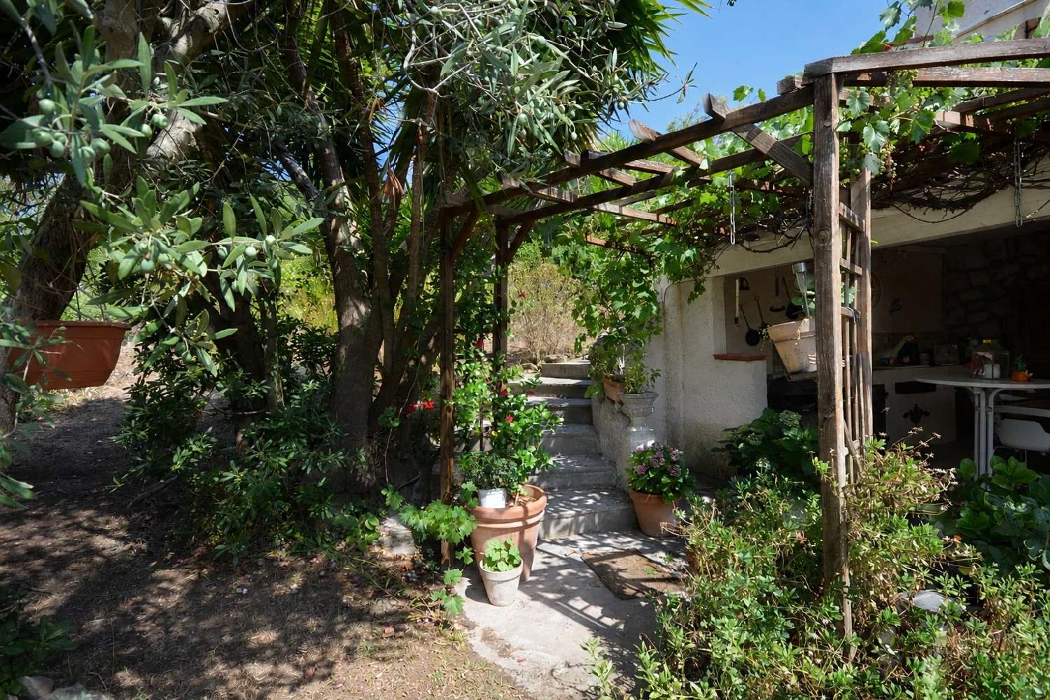 en venta villa Roquefort-les-pins Alpes-Maritimes 5