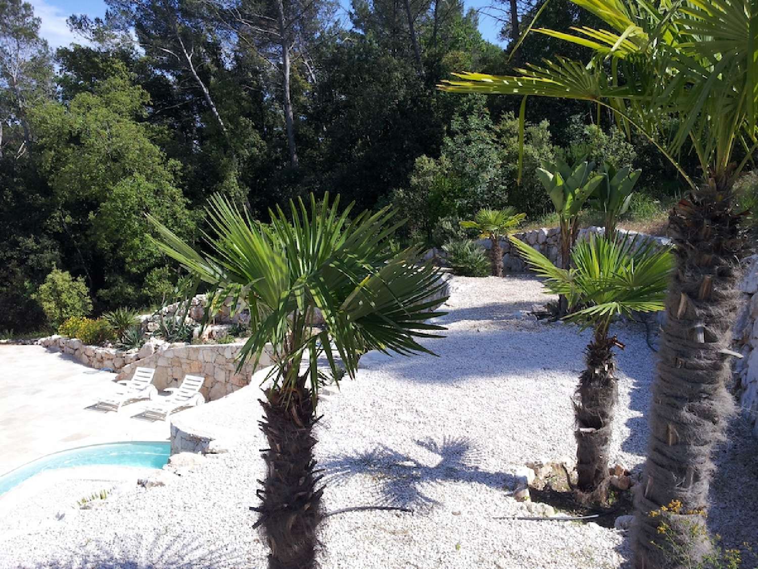à vendre villa Roquefort-les-pins Alpes-Maritimes 6