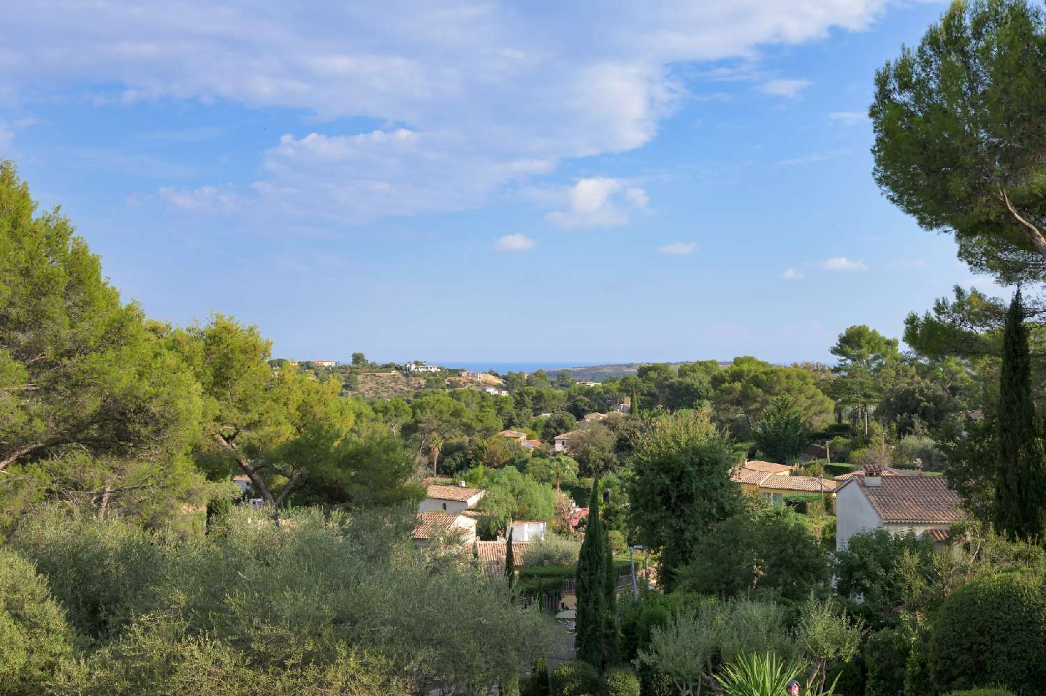 en venta villa Roquefort-les-pins Alpes-Maritimes 3