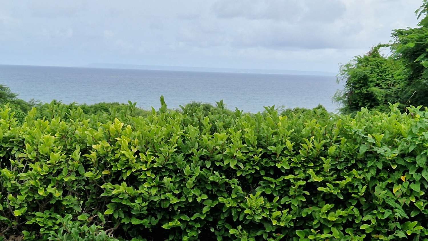 en venta villa Saint-François Guadeloupe 3