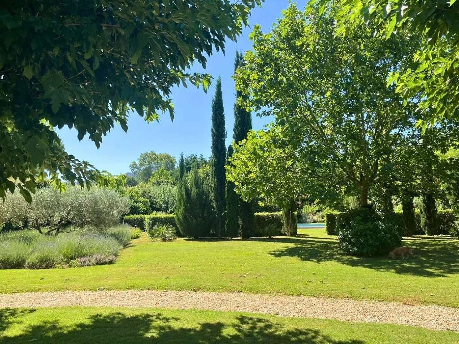 te koop villa Saint-Rémy-de-Provence Bouches-du-Rhône 4