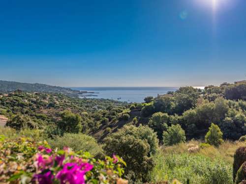 Sainte-Maxime Var Villa Bild 7425629