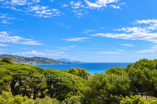 Sainte-Maxime Var Villa Bild 7423975
