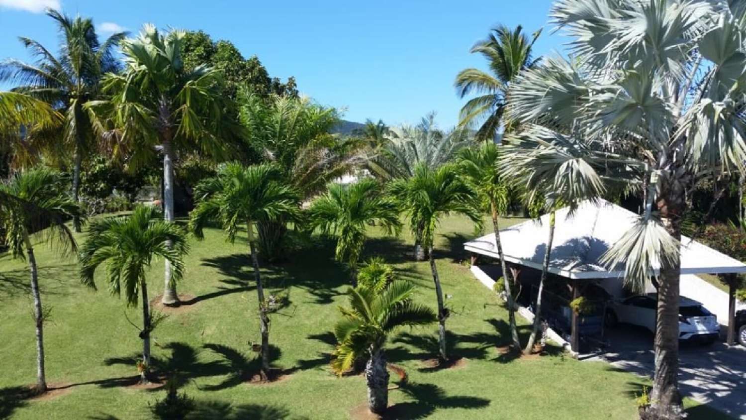  te koop villa Sainte-Rose Guadeloupe 5