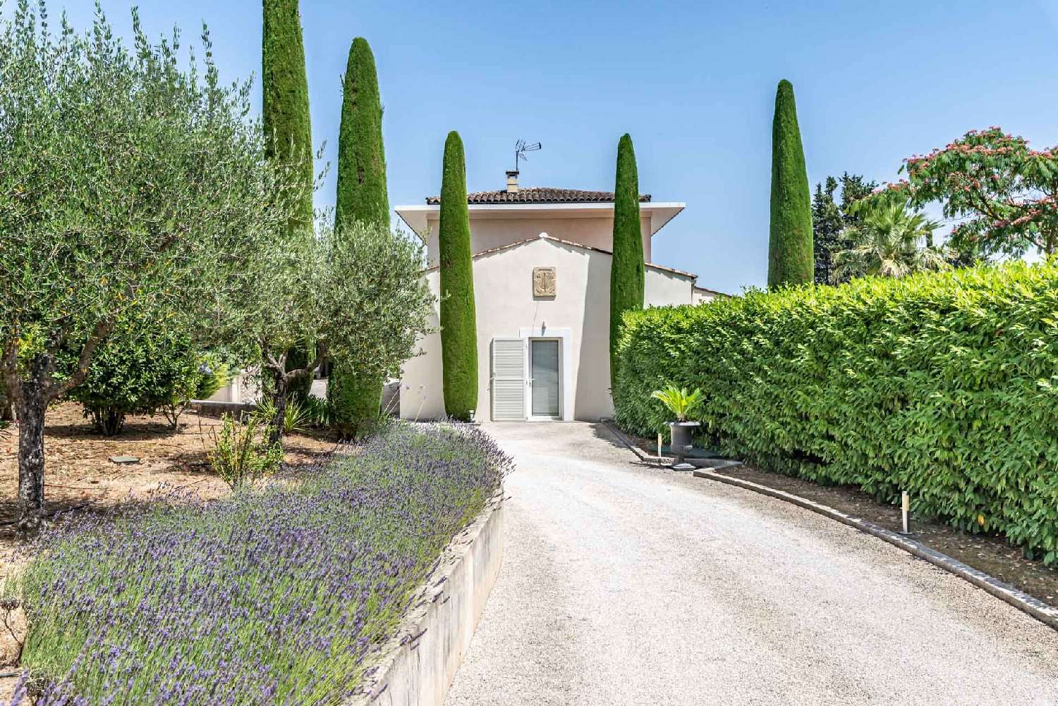 for sale villa Valbonne Alpes-Maritimes 4
