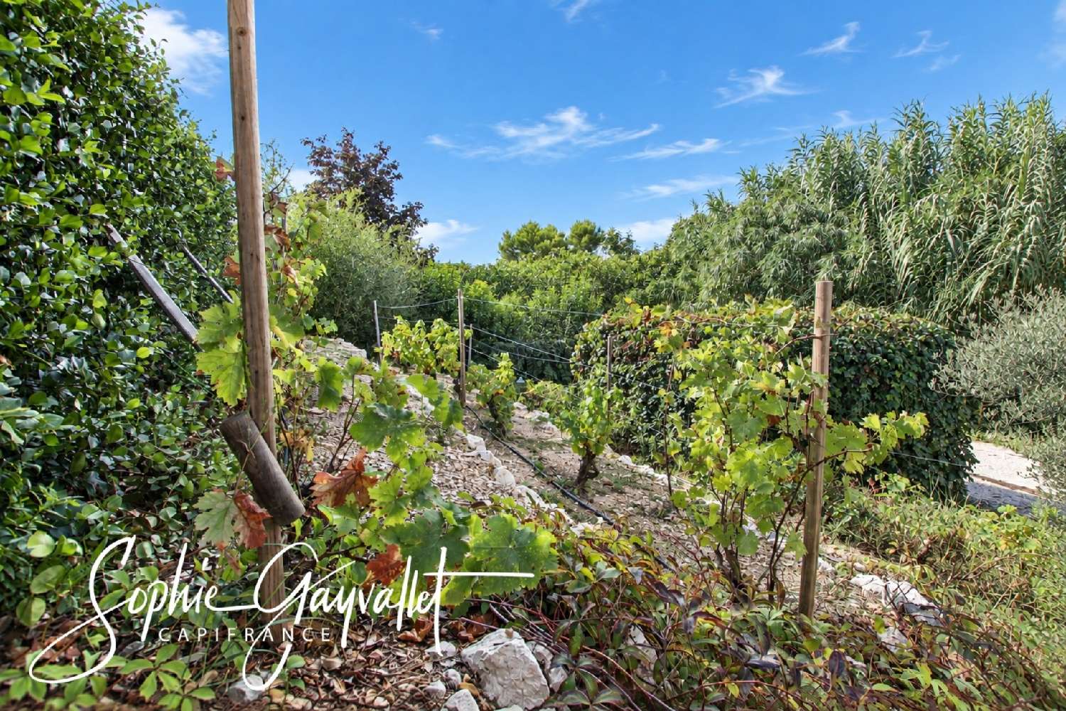 à vendre villa Velaux Bouches-du-Rhône 3