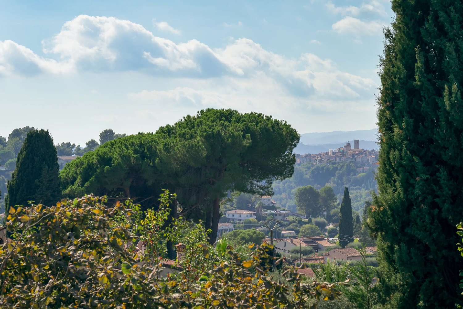 en venta villa Vence Alpes-Maritimes 2