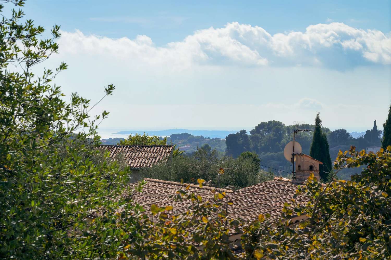 en venta villa Vence Alpes-Maritimes 6