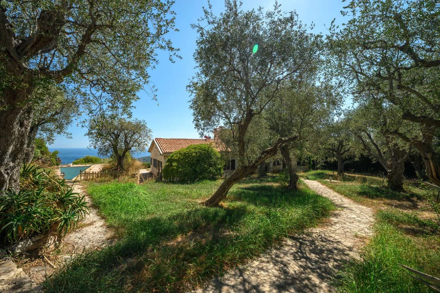  en venta villa Villefranche-sur-Mer Alpes-Maritimes 8