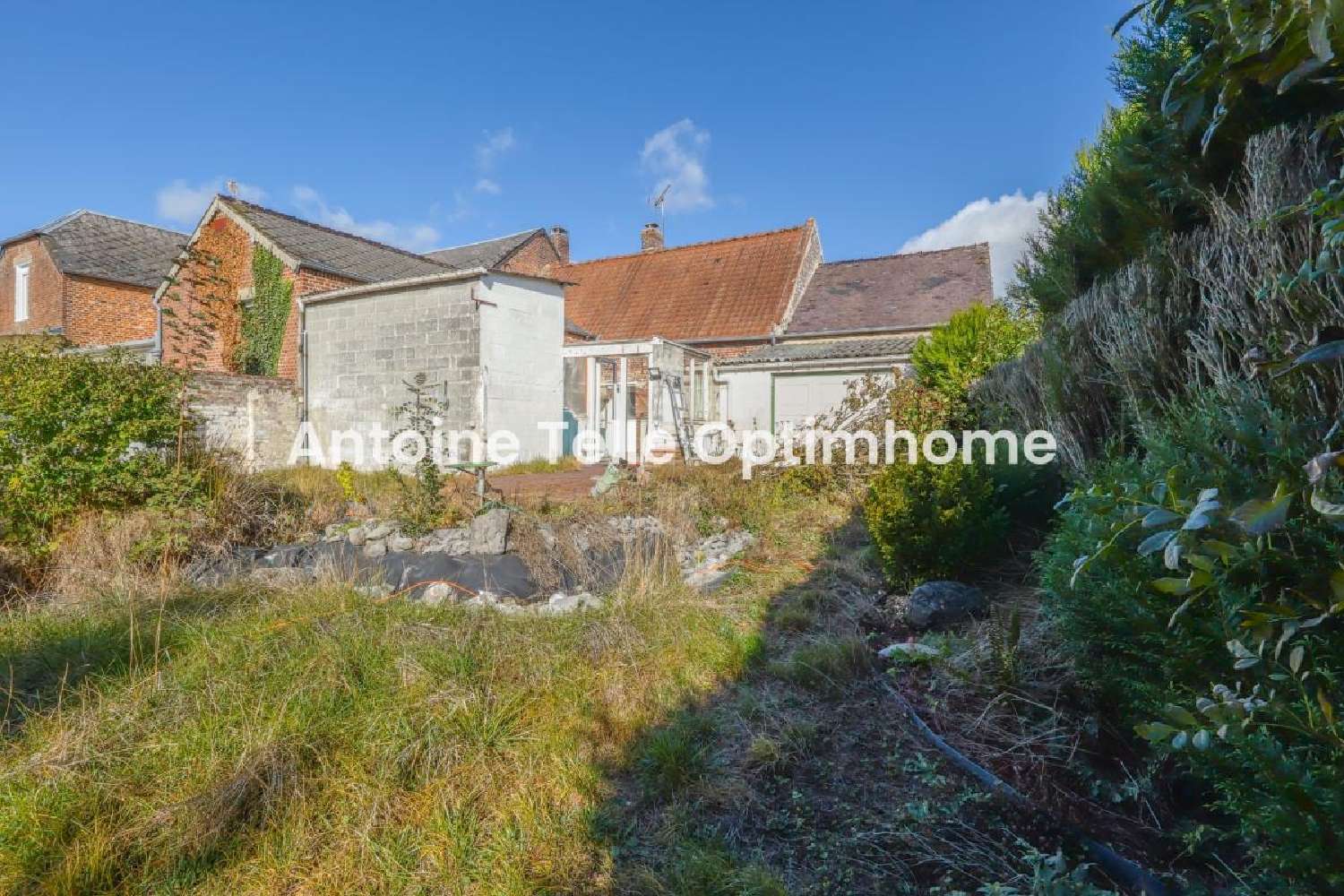 kaufen Dorfhaus Catillon-sur-Sambre Nord 3
