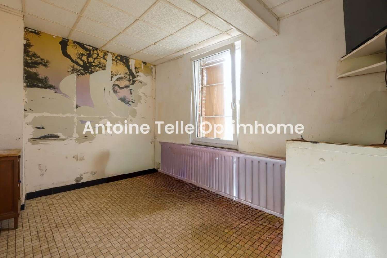 kaufen Dorfhaus Catillon-sur-Sambre Nord 8