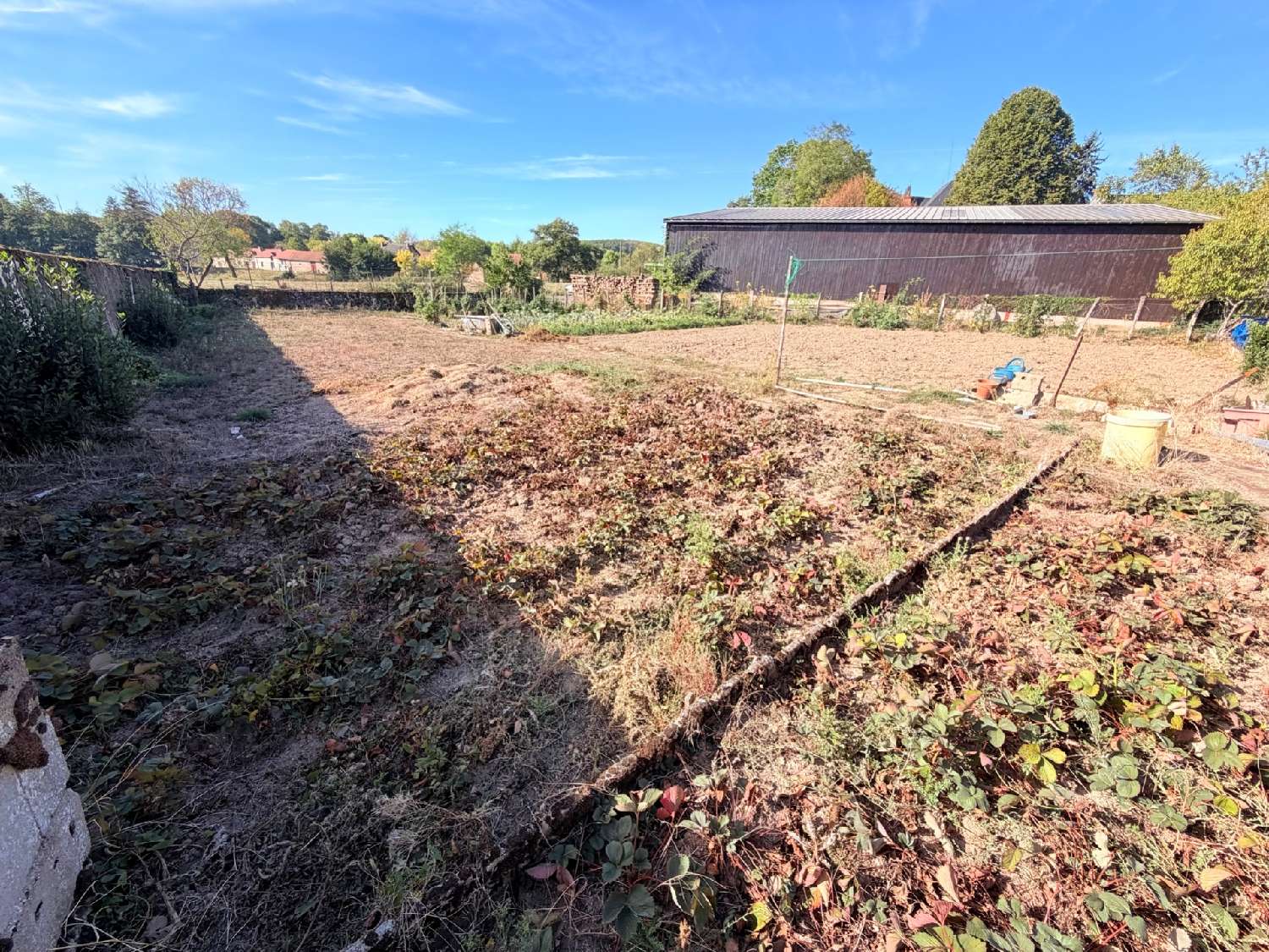 à vendre maison de village Issy-l'Évêque Saône-et-Loire 5