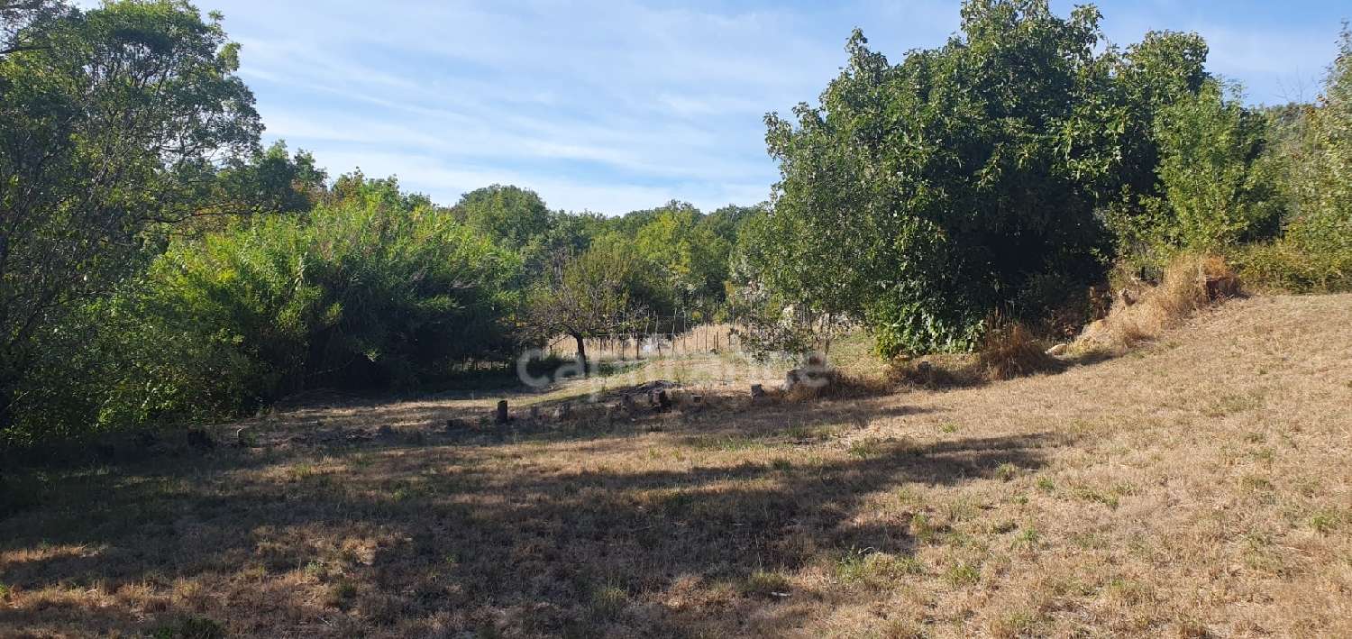  for sale village house Le Bosc Hérault 6