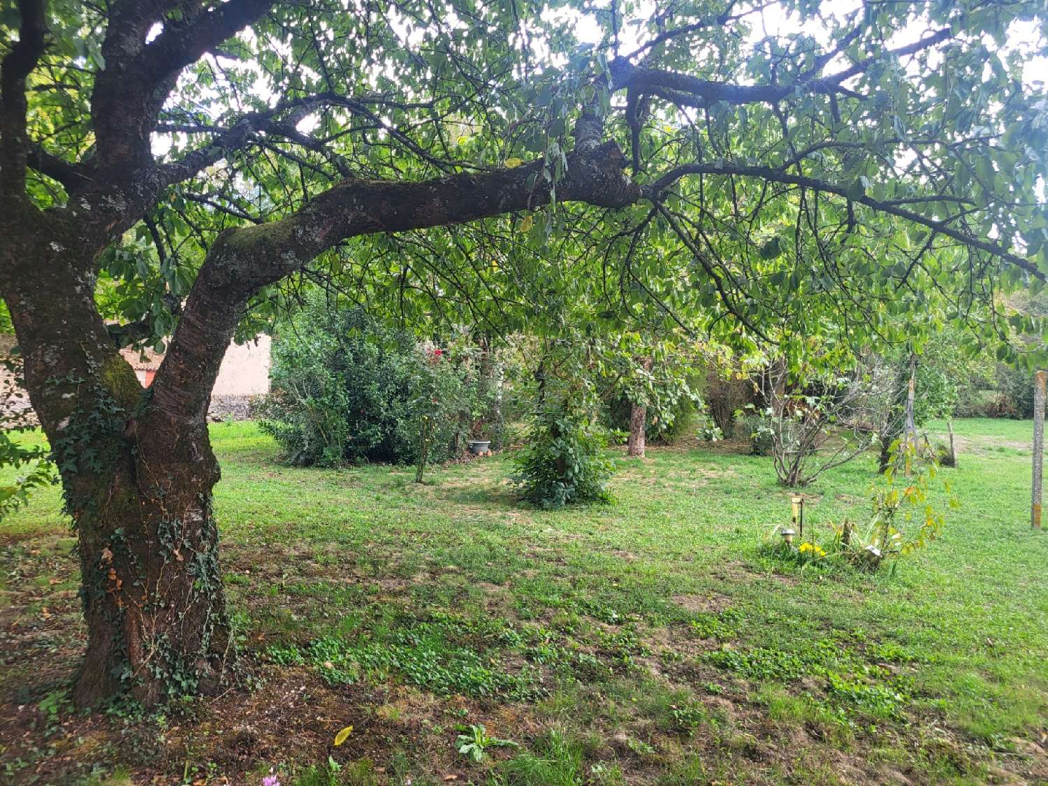 for sale village house Maisontiers Deux-Sèvres 1
