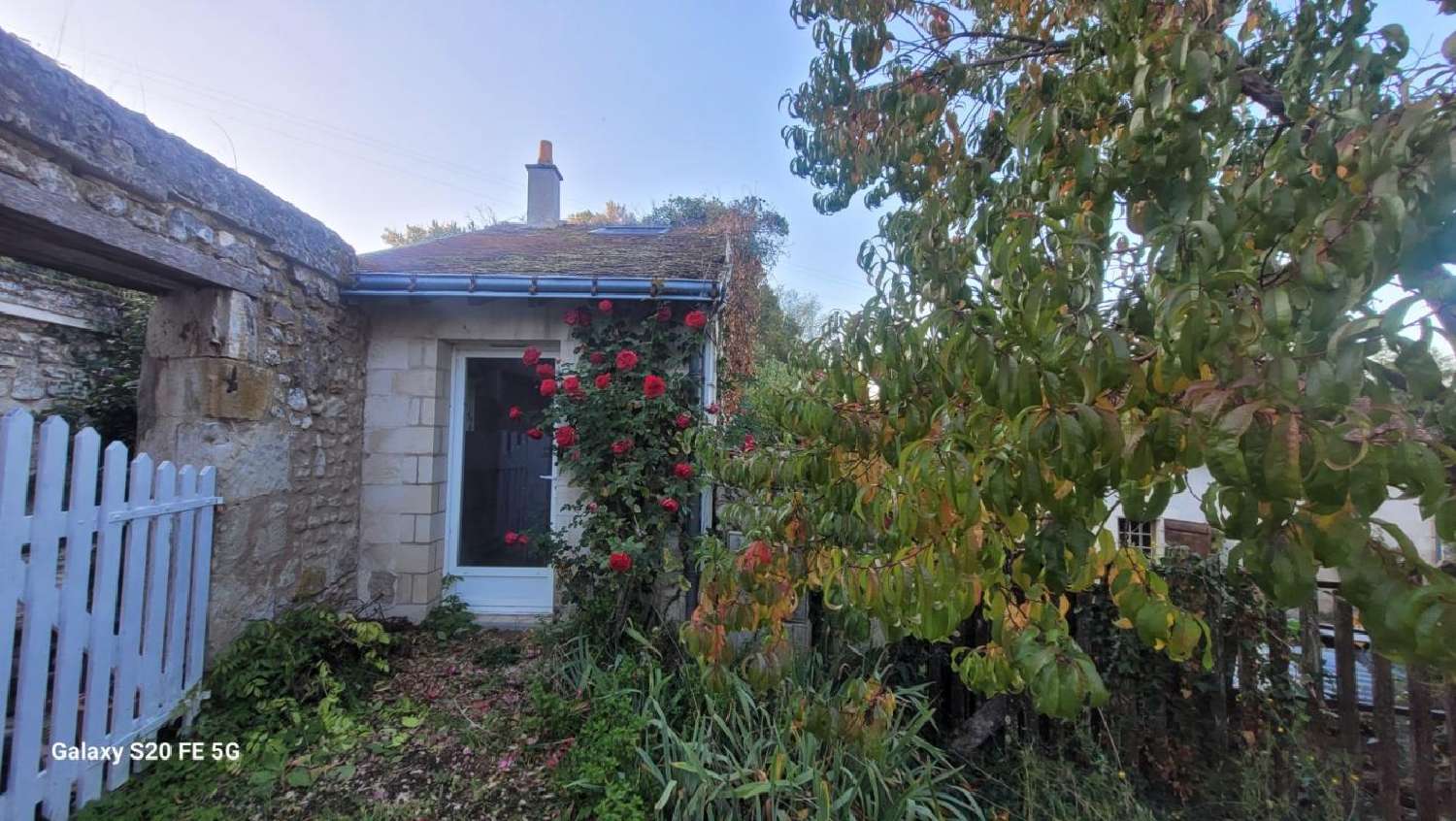  à vendre maison de village Pouzay Indre-et-Loire 3