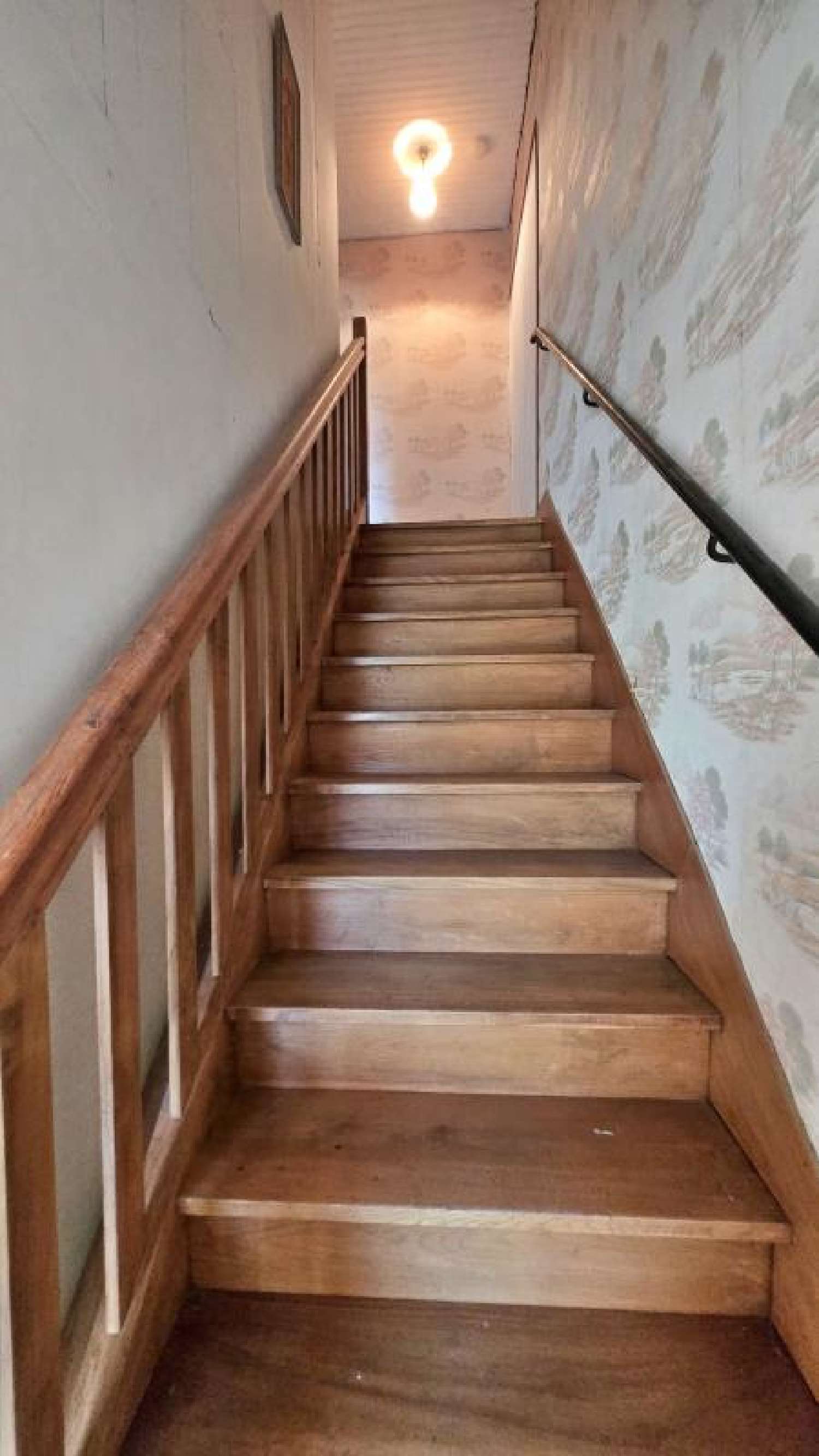 kaufen Dorfhaus Saint-Junien Haute-Vienne 8