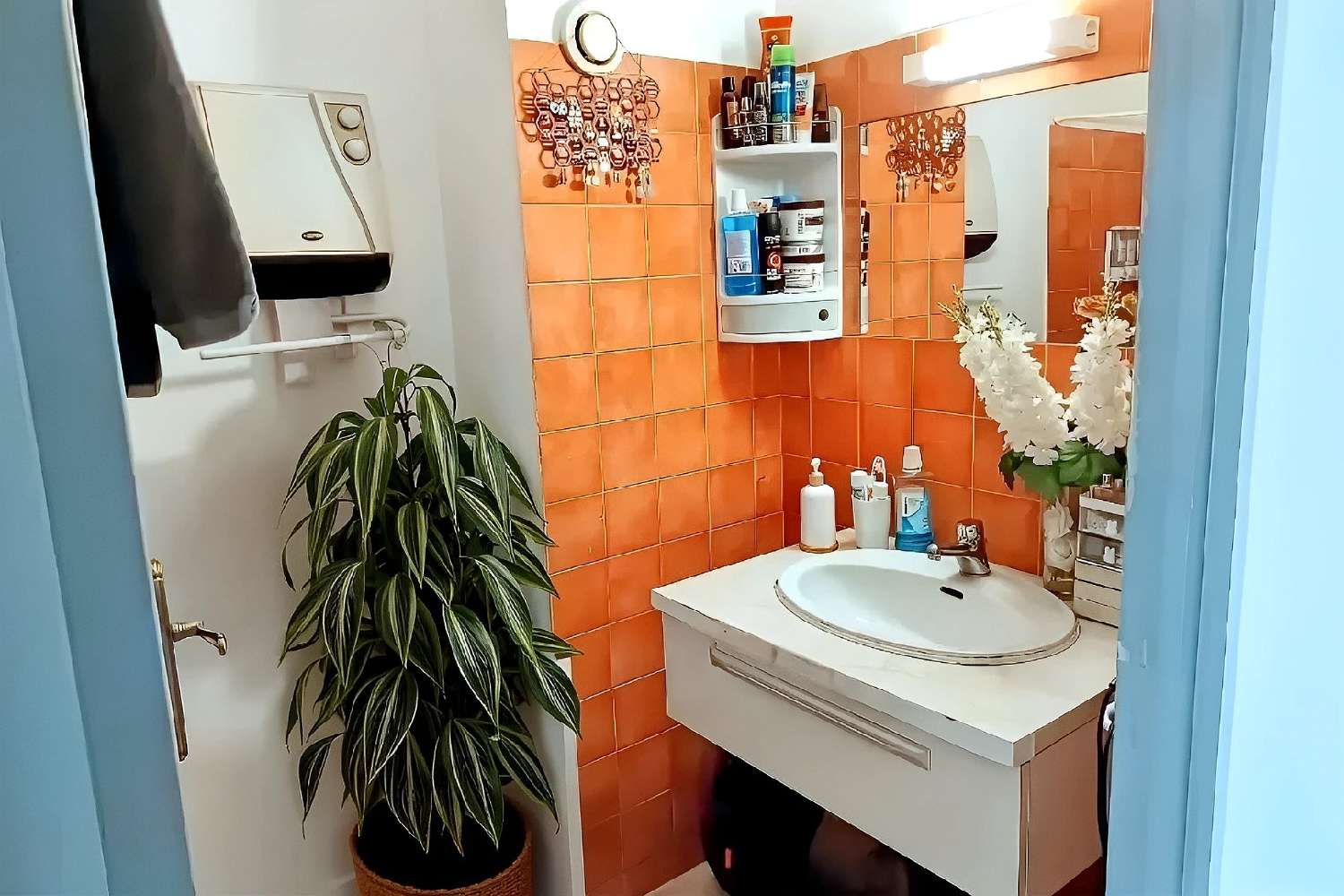  te koop appartement Albi Tarn 5