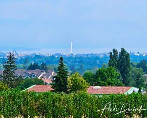 Archamps Haute-Savoie appartement foto 7263879