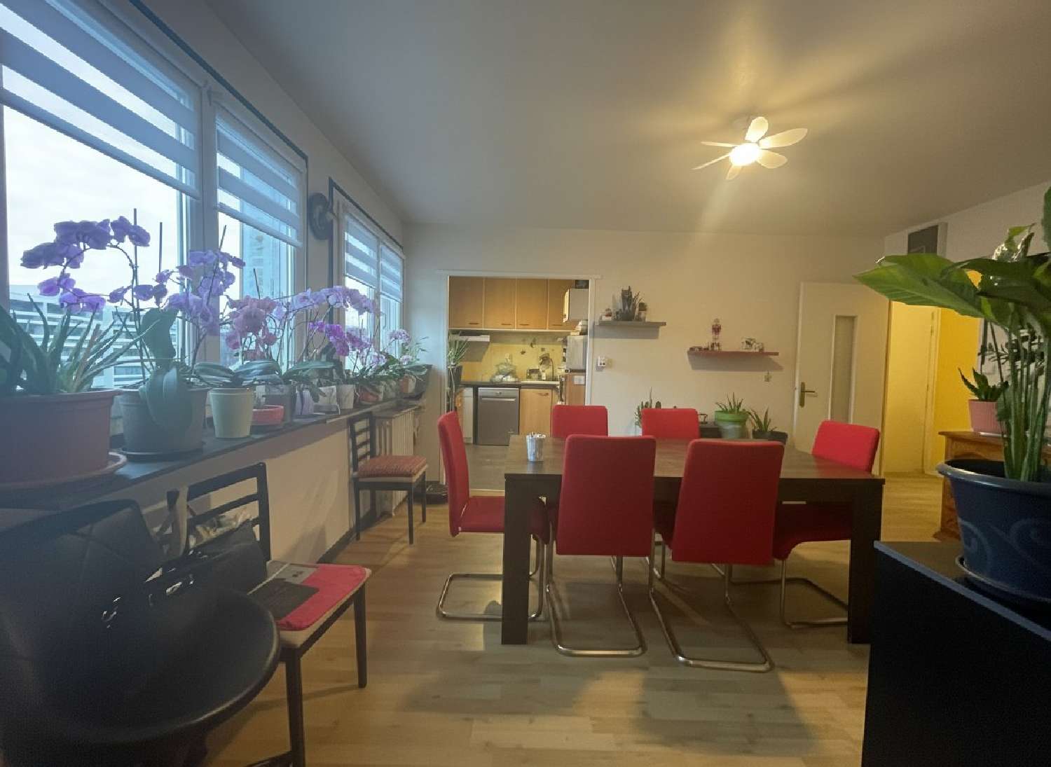  te koop appartement Aurillac Cantal 1