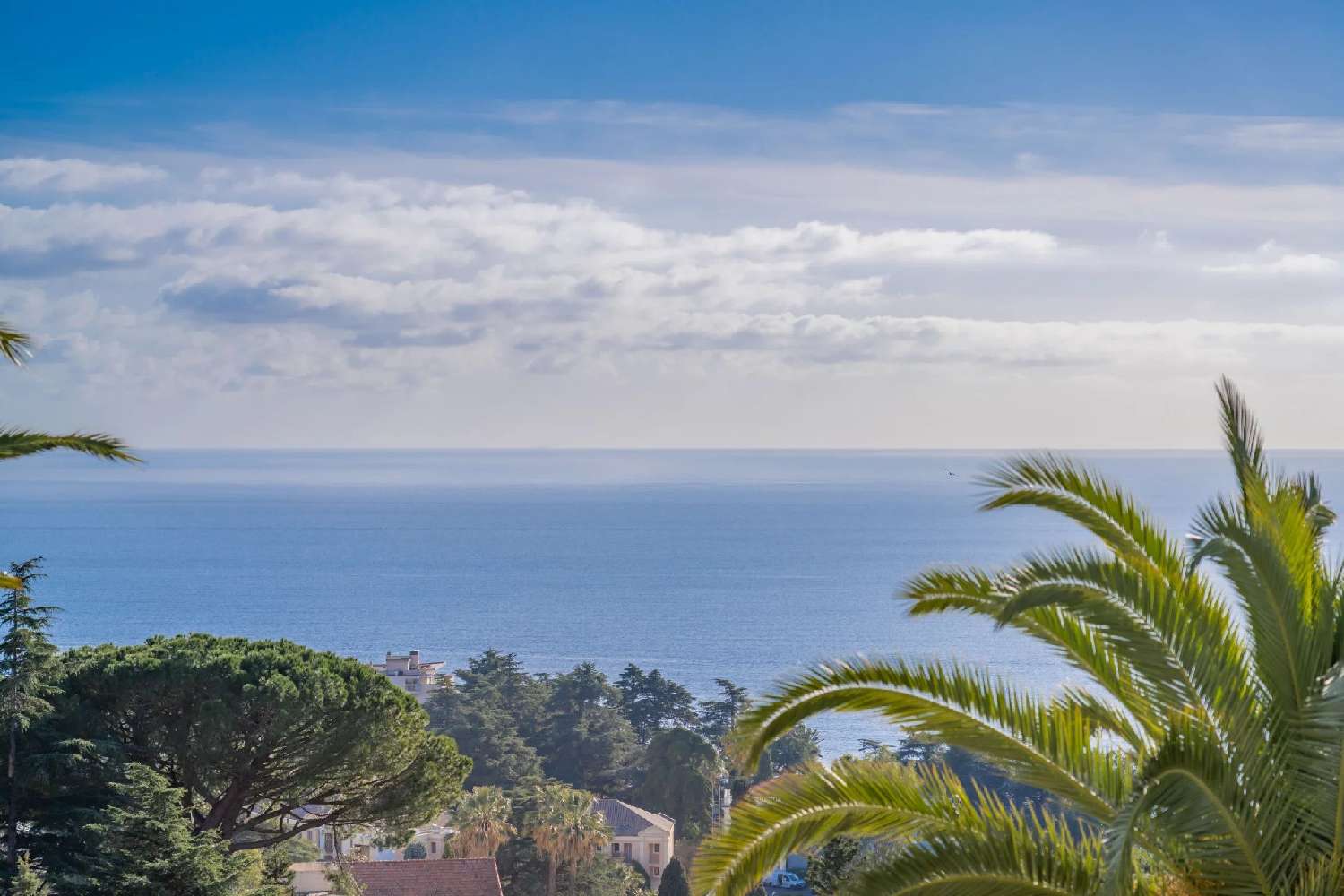  à vendre appartement Cannes Alpes-Maritimes 4