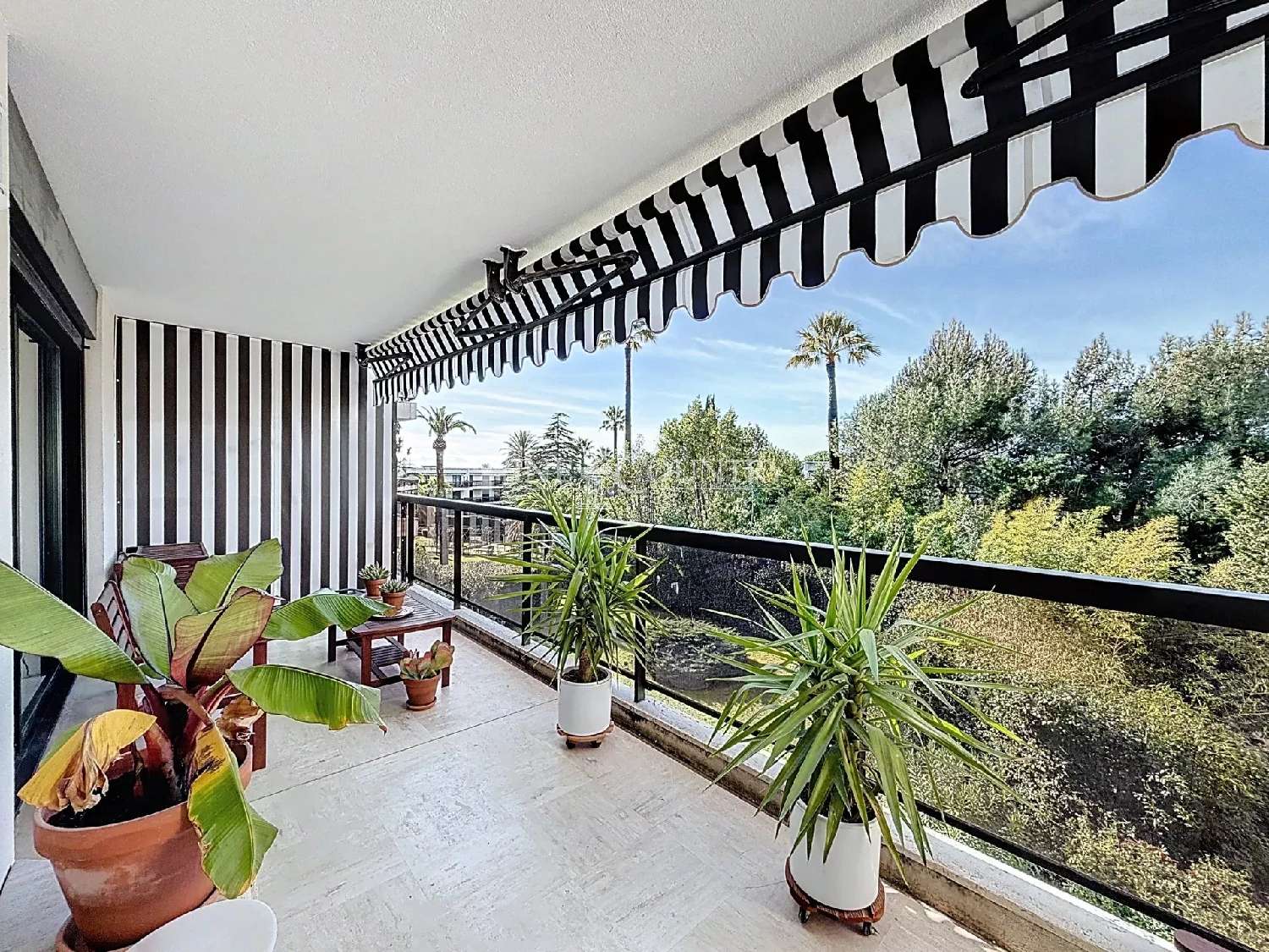  for sale apartment Cannes Alpes-Maritimes 1