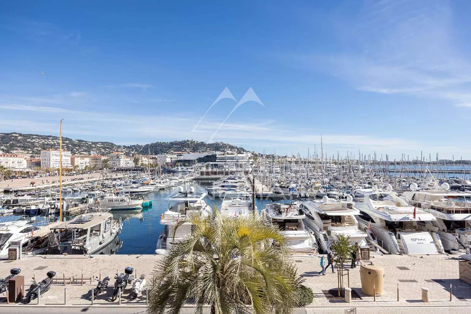  for sale apartment Cannes Alpes-Maritimes 1