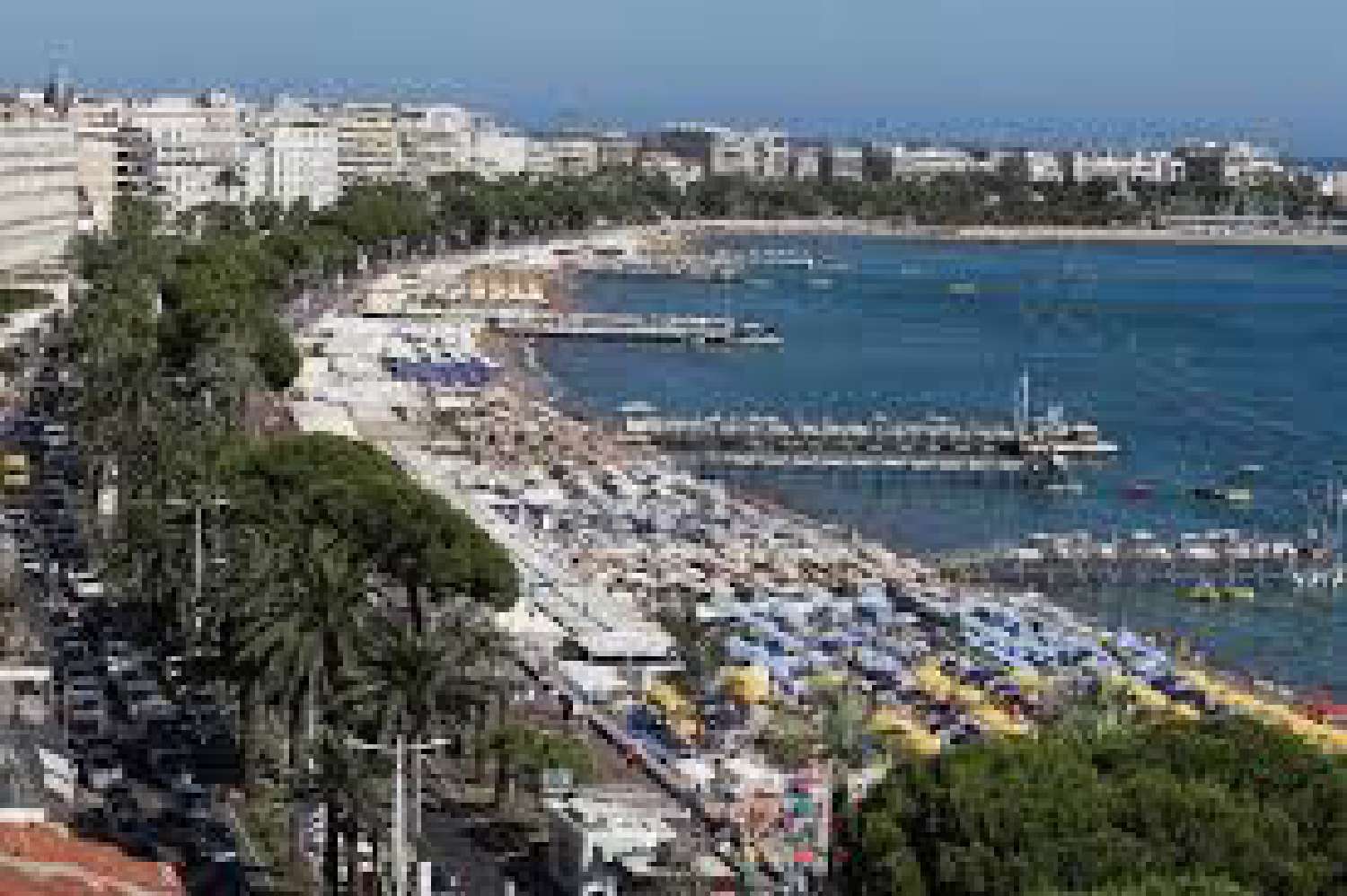  te koop appartement Cannes Alpes-Maritimes 1