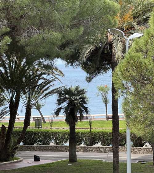 Cannes Alpes-Maritimes Wohnung/ Apartment Bild 7262368