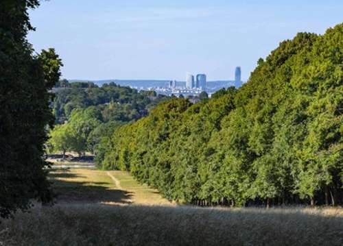 Clamart Hauts-de-Seine appartement foto 7265233