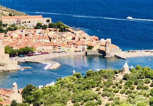 Collioure Pyrénées-Orientales Wohnung/ Apartment Bild 7256912