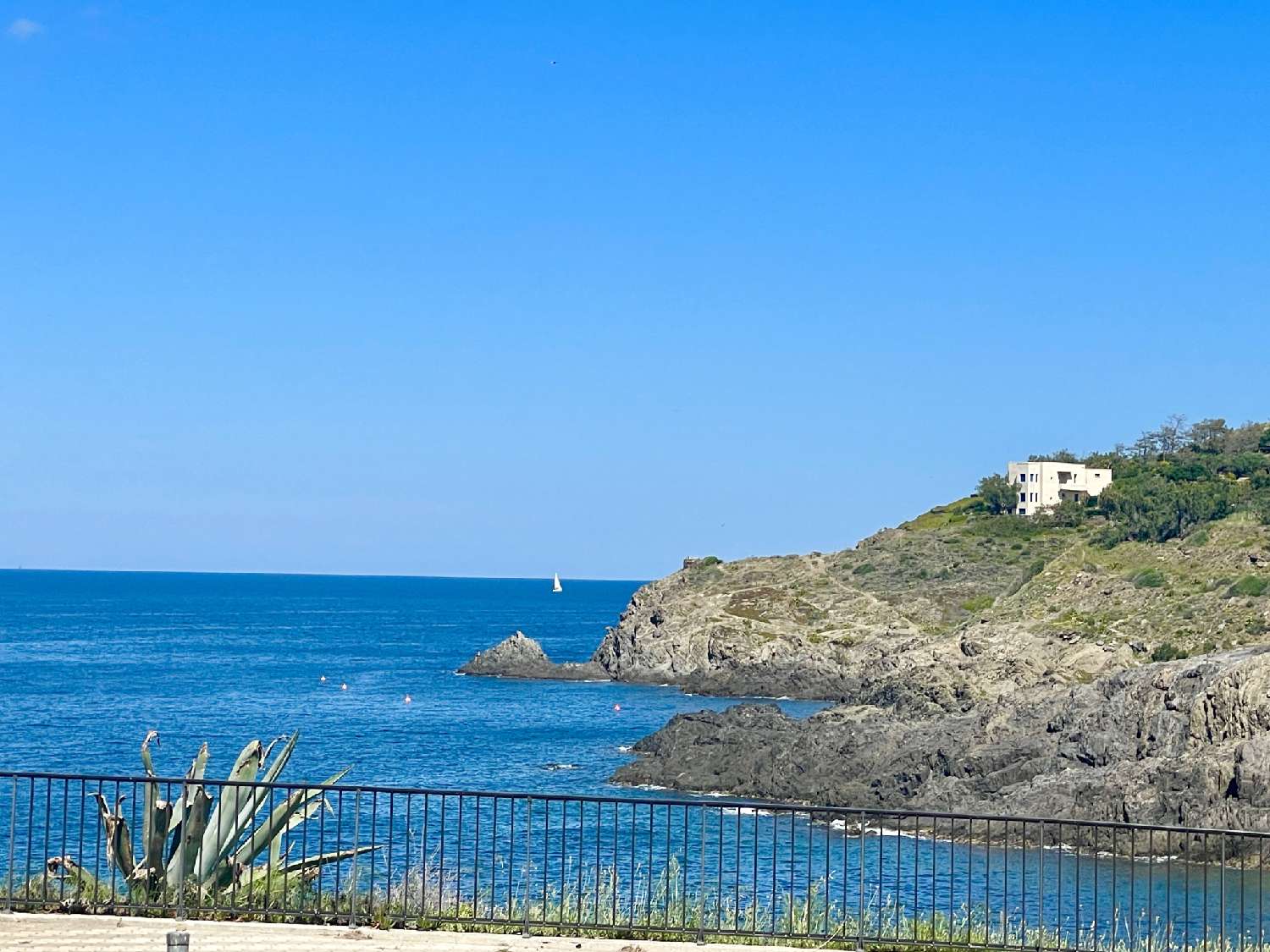 en venta apartamento Collioure Pirineo Oriental 2