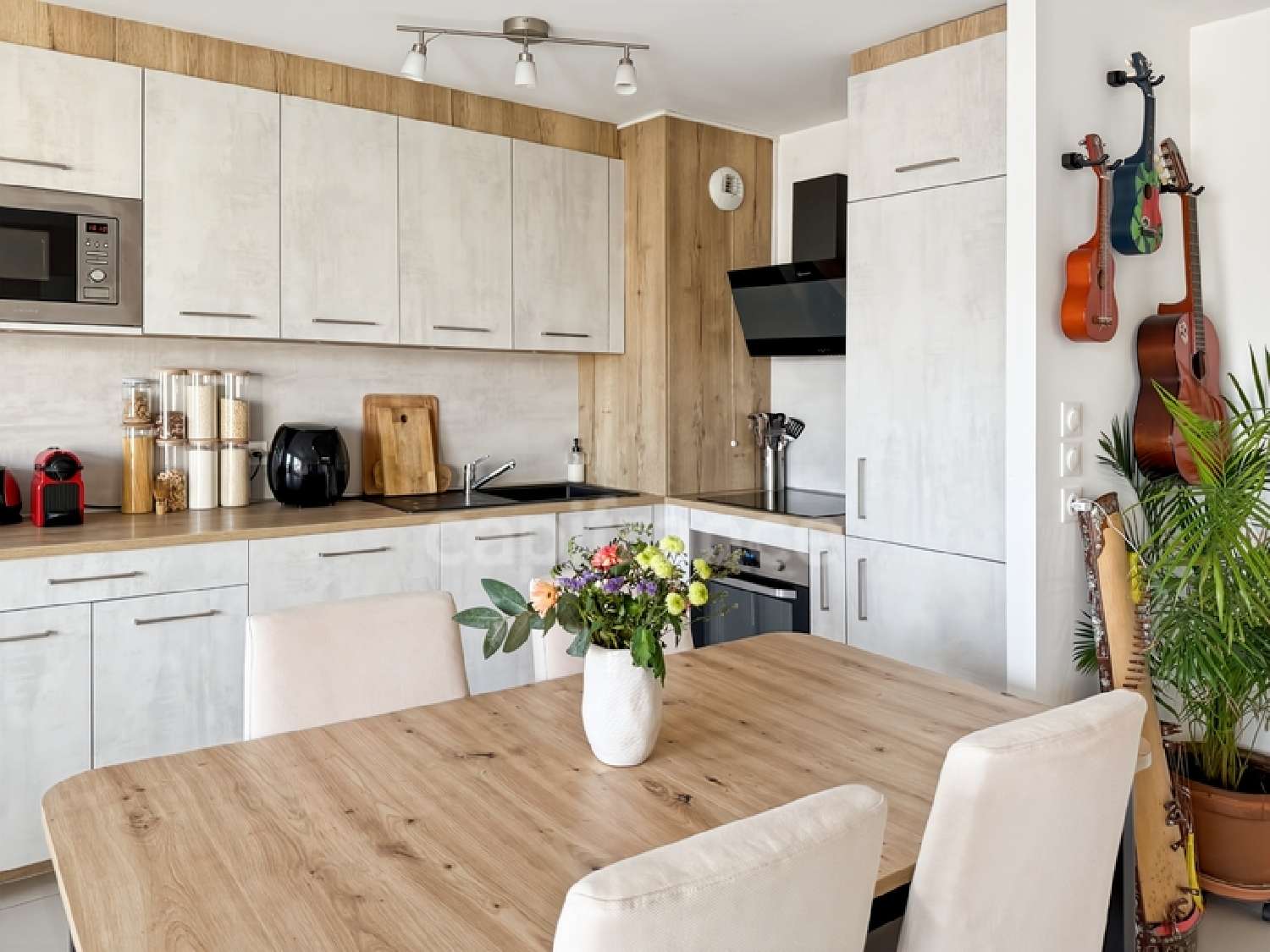 à vendre appartement Ferney-Voltaire Ain 3