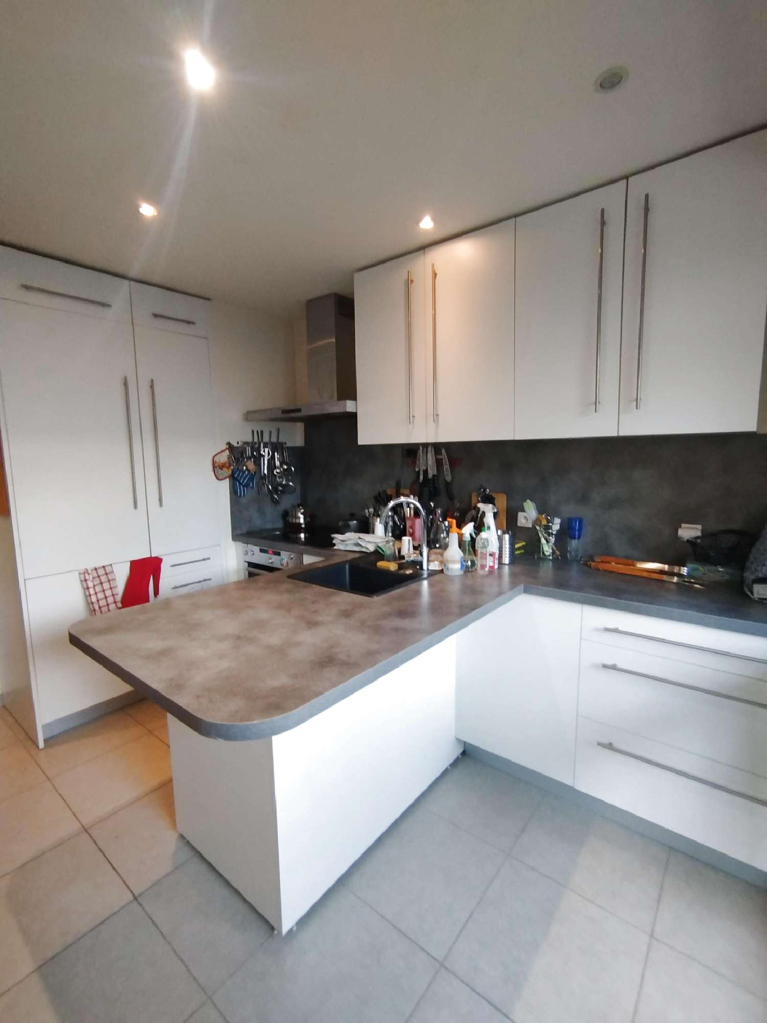  for sale apartment Grenoble 38100 Isère 5