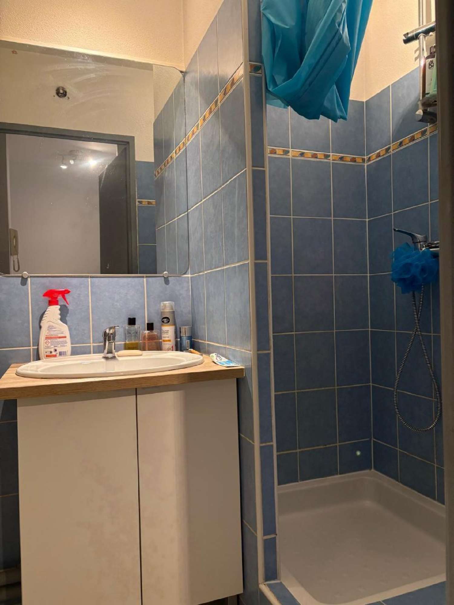  te koop appartement Hasparren Pyrénées-Atlantiques 3