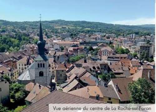 La Roche-sur-Foron Haute-Savoie Wohnung/ Apartment Bild 7261663