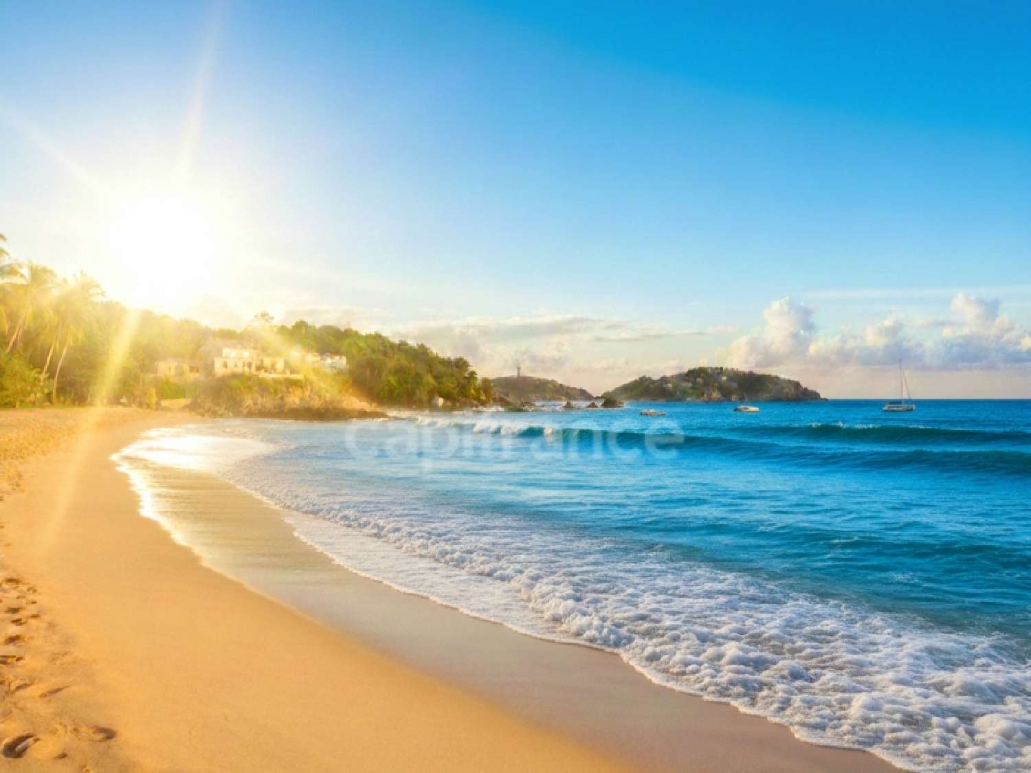 for sale apartment Le Brusc Var 8