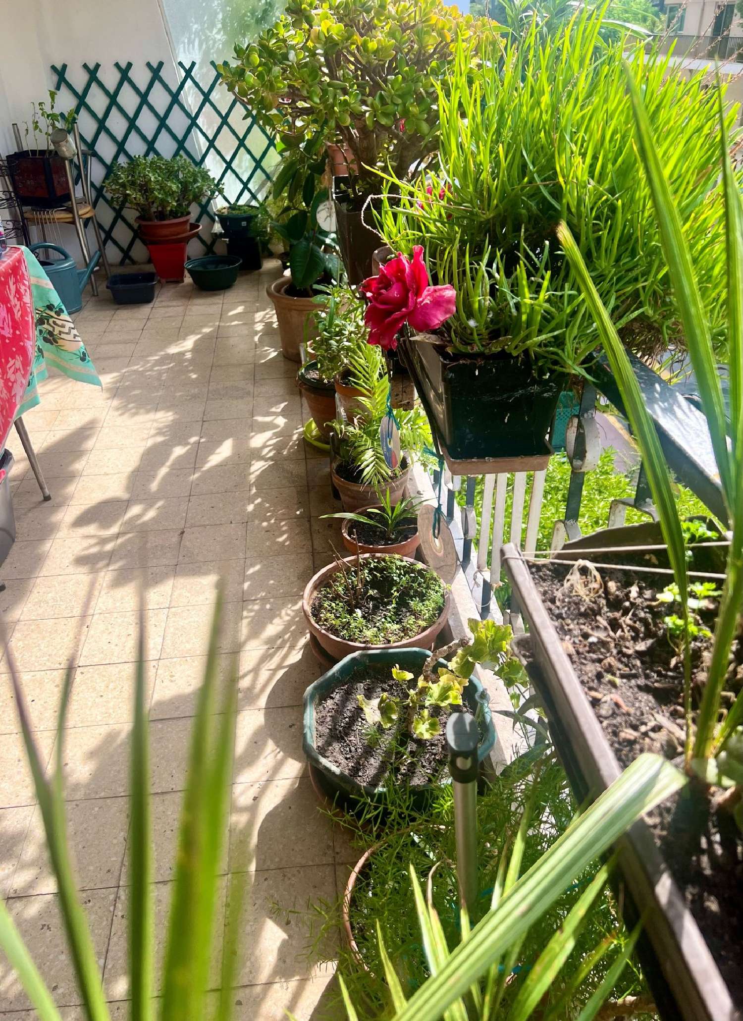  kaufen Wohnung/ Apartment Le Cannet Alpes-Maritimes 1