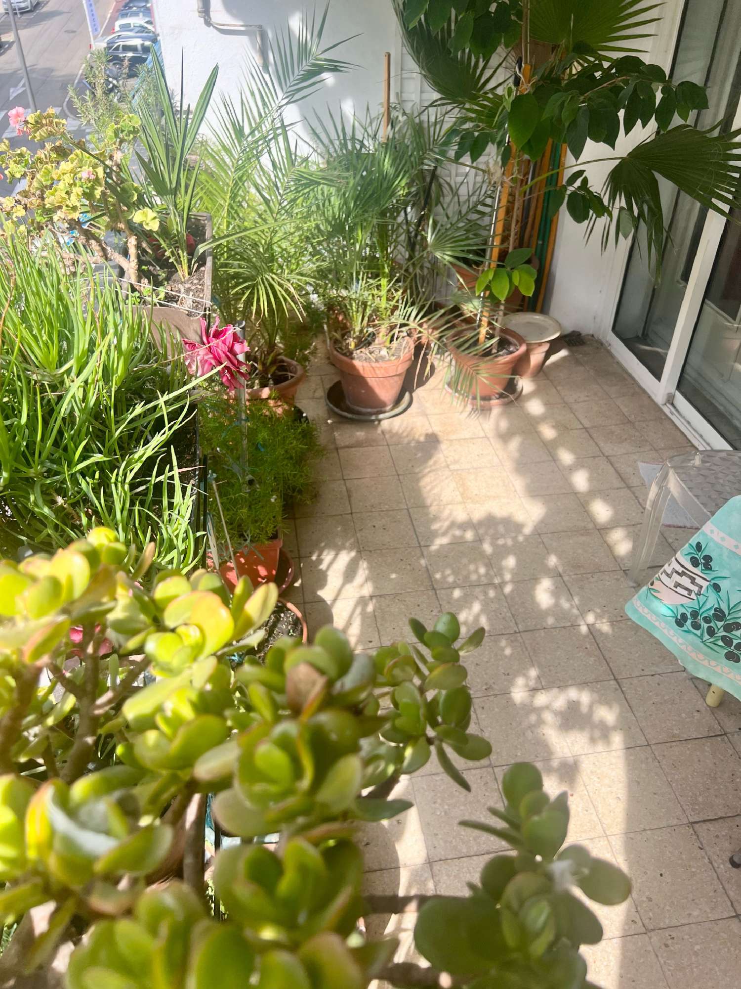  en venta apartamento Le Cannet Alpes-Maritimes 3