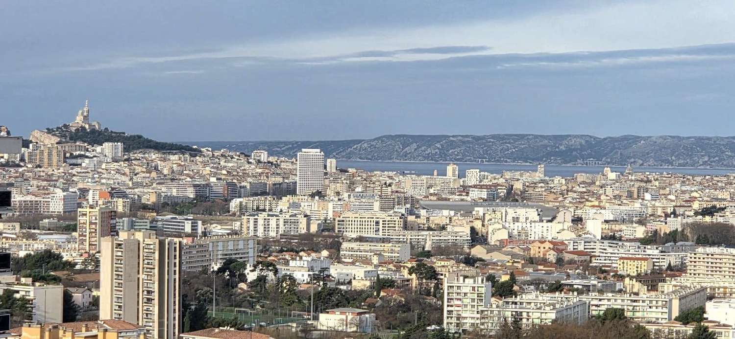  te koop appartement Marseille Bouches-du-Rhône 1