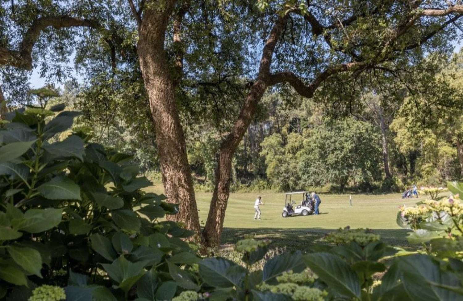  te koop appartement Moliets-et-Maa Landes 1