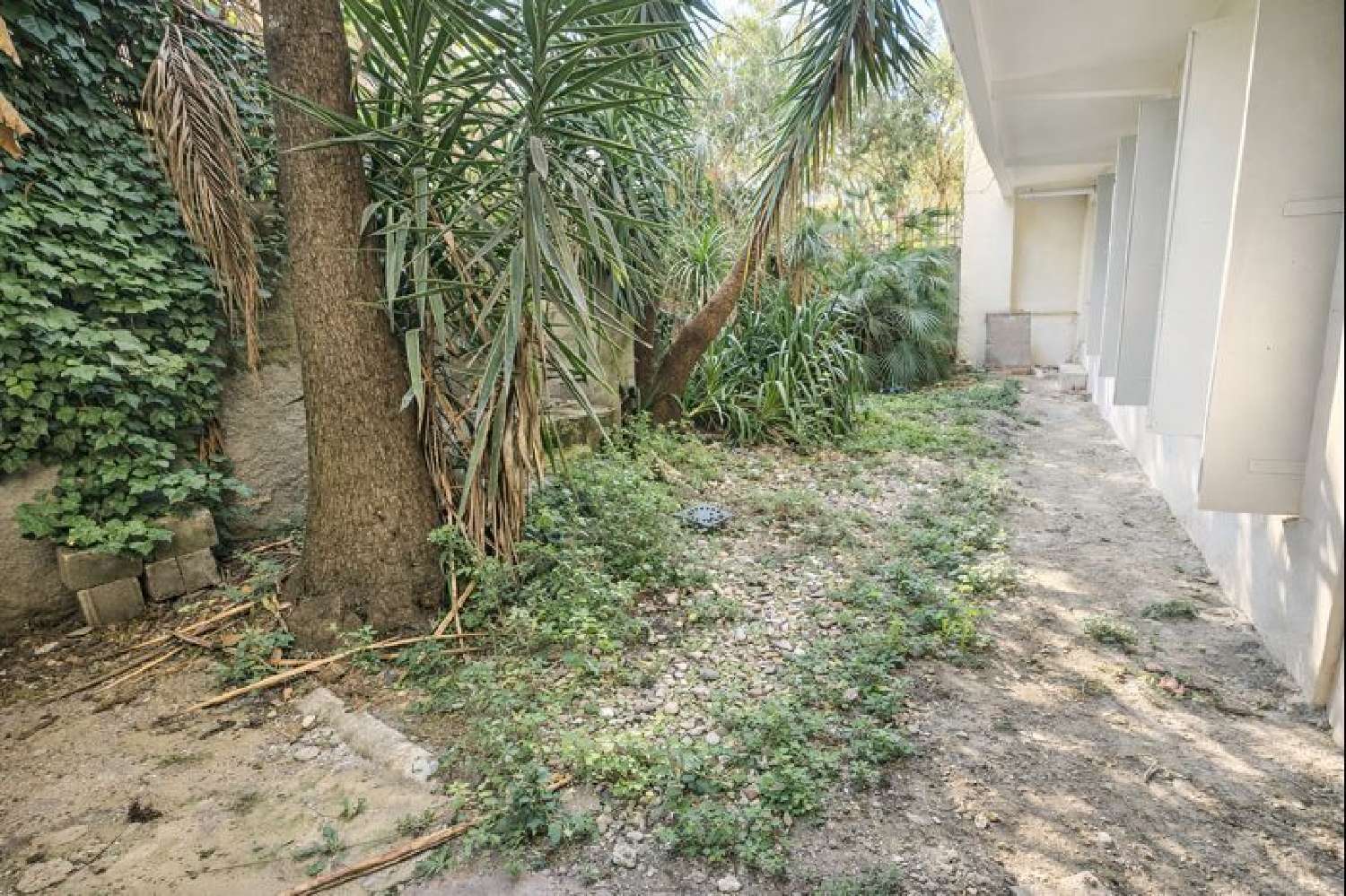  te koop appartement Montpellier Hérault 1