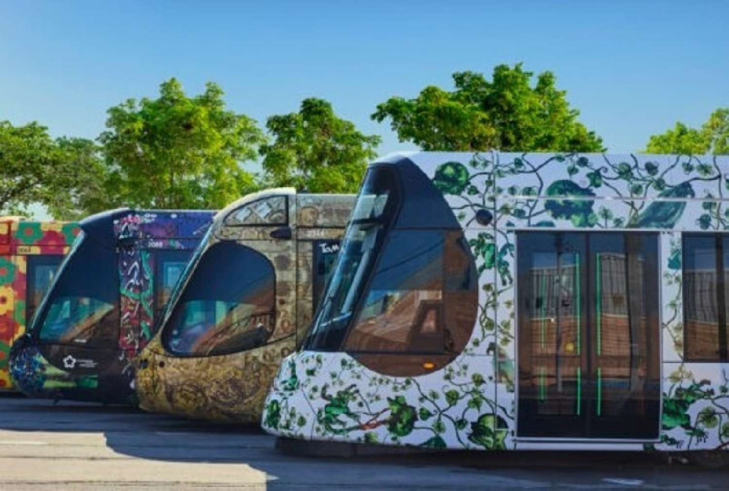  te koop appartement Montpellier Hérault 8