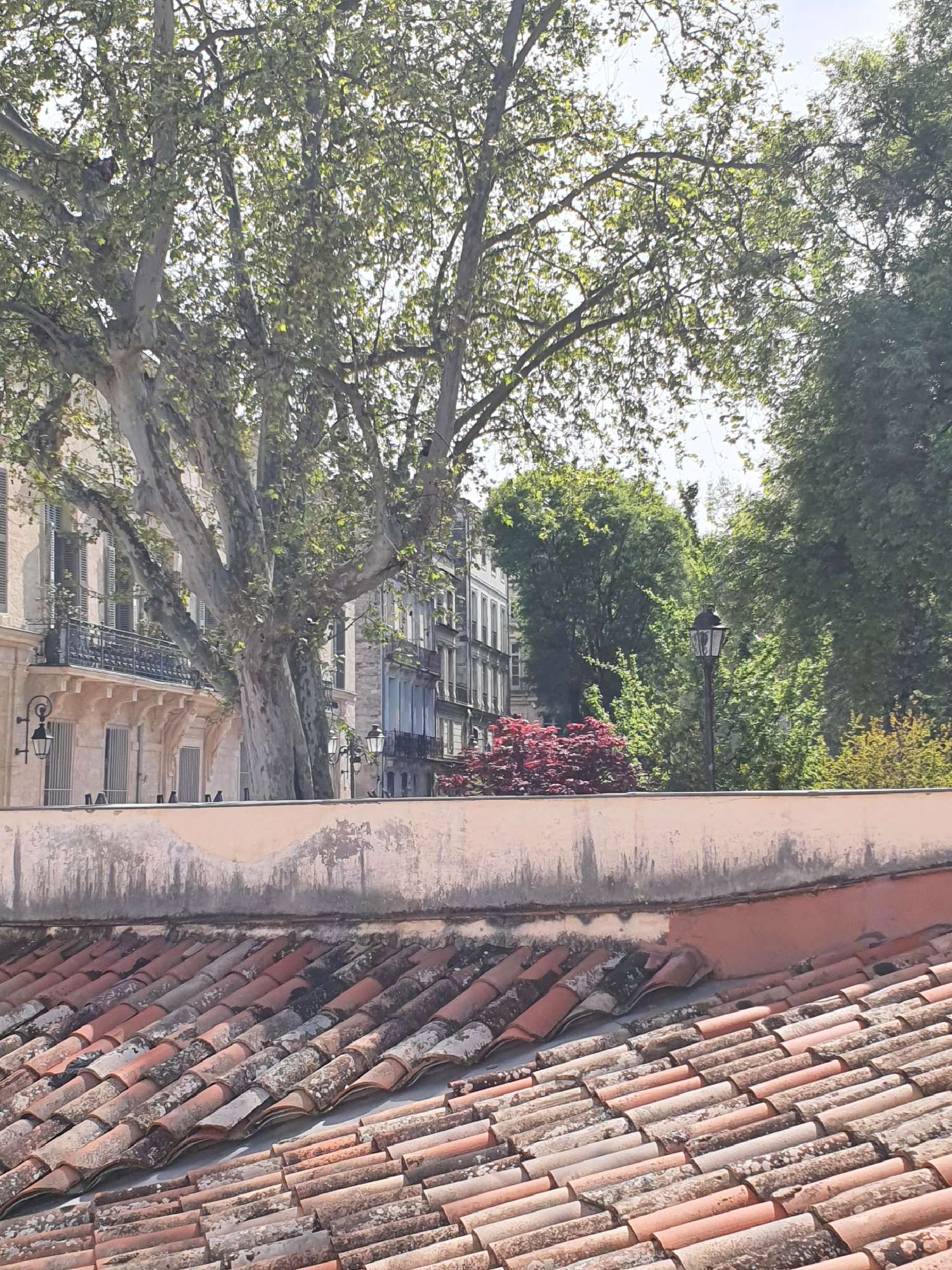  à vendre appartement Montpellier Hérault 7