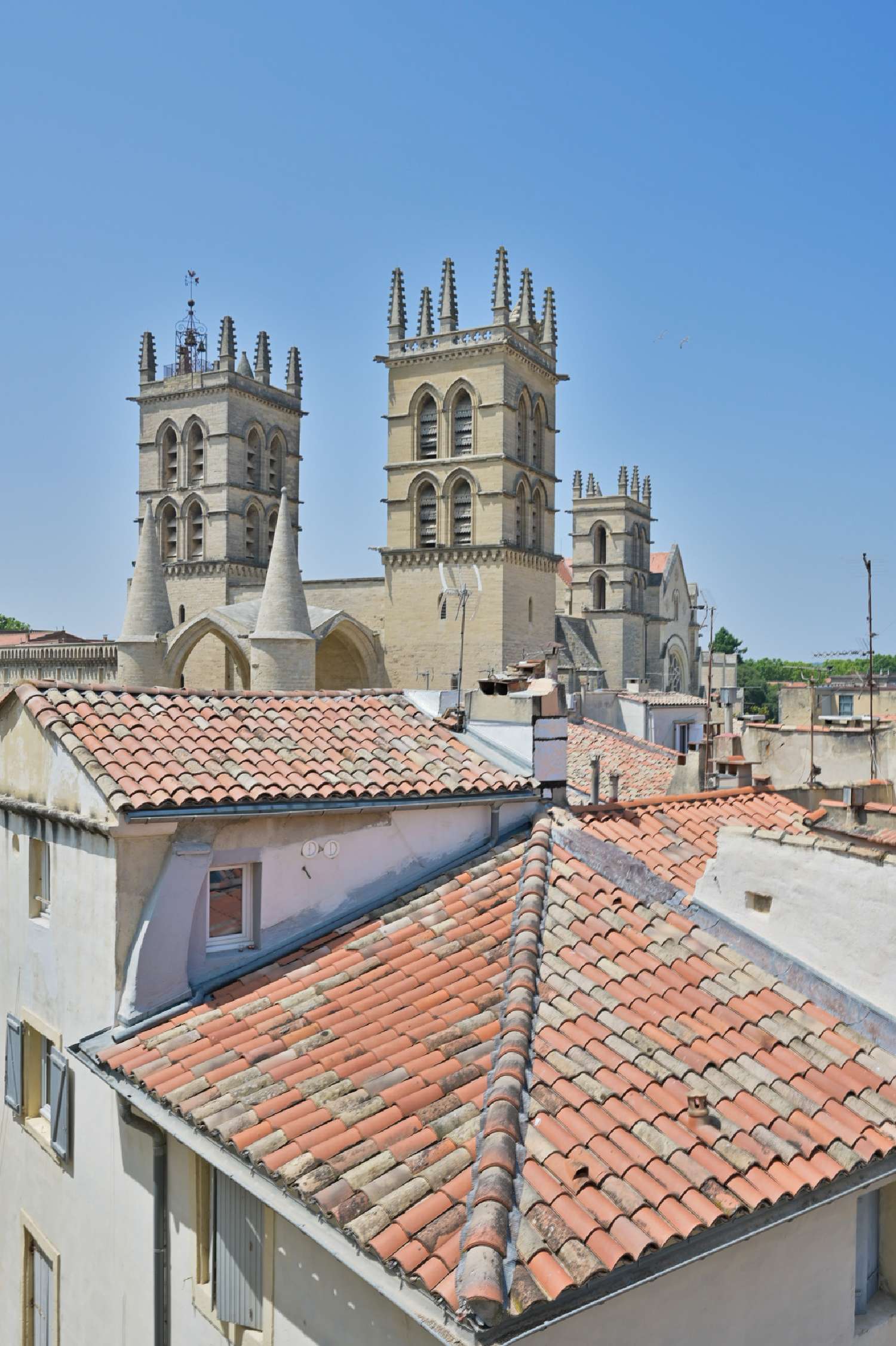  à vendre appartement Montpellier Hérault 8