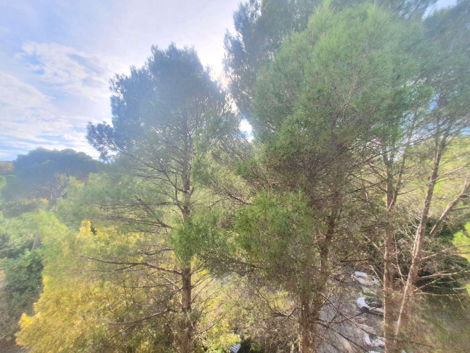  à vendre appartement Montpellier Hérault 2