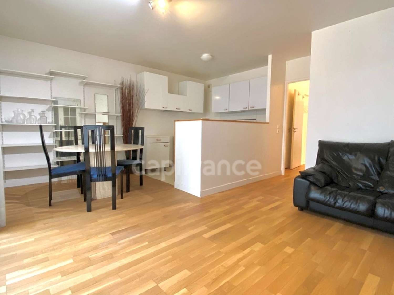 en venta apartamento Nogent-sur-Marne Val-de-Marne 8